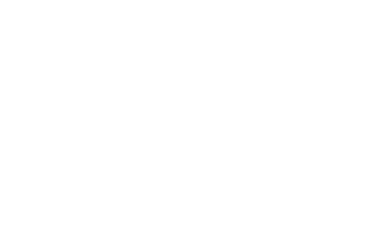 OFFICIAL SELECTION – International Online Web Fest – 2022