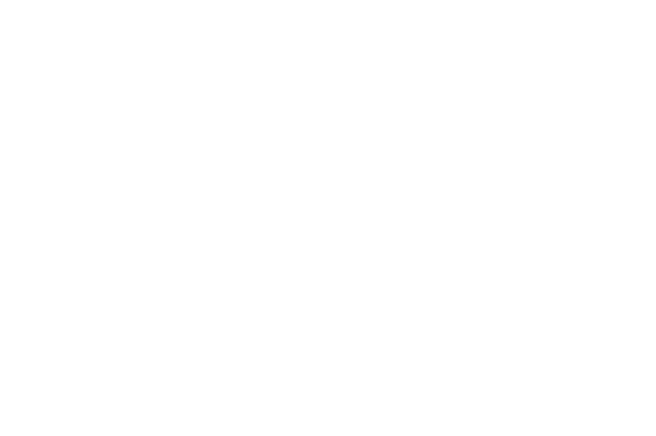 OFFICIAL SELECTION – Webfest Berlin – 2021