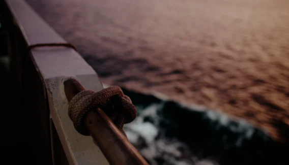 ACC - Producers Video Delivery 4k.00_00_58_06.Still001_webp